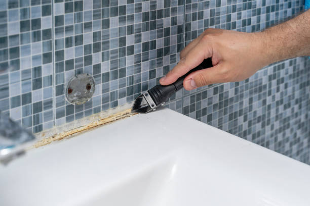 Best Emergency Mold Remediation in Craig, AK